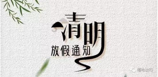 忍者鲨鱼